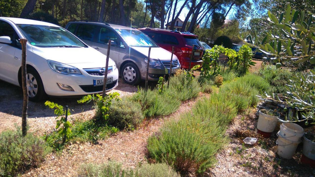 Apartmani Nimcevic Biograd Na Moru Luaran gambar